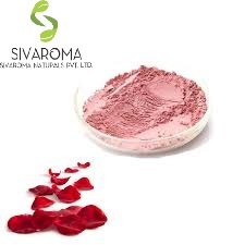 สารสกัดจากใบดอกกุหลาบบริสุทธิ์สำหรับ100% ขายส่งจำนวนมาก - Product Image 4