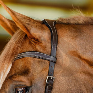 Bridon de cheval durable, entièrement personnalisable, réglable, de haute qualité, en cuir souple, avec quincaillerie en acier inoxydable, couleurs personnalisées pour toutes les races - Product Image 4
