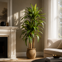 Plante de Dracaena naturelle à 2 tiges, arbre artificiel réaliste en soie, en pot dans un panier tressé, grand format, pour décoration intérieure style bohème, vente en gros