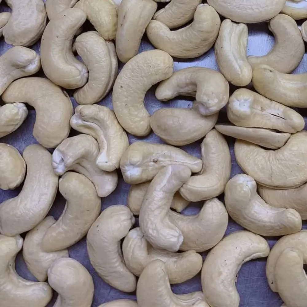 Cashewnüsse Nüsse Cashewnuss-Röst maschine aus Vietnam Fabrik preis Versand bereit