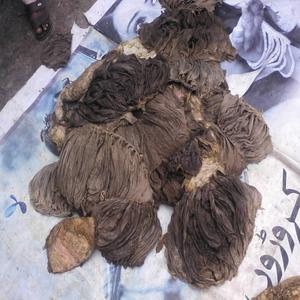 Dry Salted Omasum and Frozen Salted <b>Beef</b> Omasum - Product Image 4