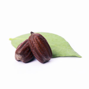 Semillas de Jojoba Naturales de Alta Pureza, Certificadas ISO, Quick Food LLC, Origen EE. UU., 2 Años de Vida Útil, Servicios OEM/ODM, Empaque Personalizado - Product Image 5