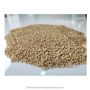 Graines de sésame blanc de qualité supérieure, vente en gros pour la consommation humaine et l'usage industriel - Product Image 5