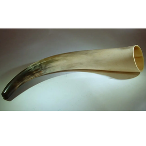 Corne à souffler viking portable faite à la main |   Corne de vache polie, style animal, corne de signalisation - Product Image 4