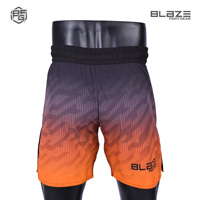 Shorts de combat hybrides MMA/BJJ/Jiu Jitsu pour hommes, conçus sur mesure, légers, taille élastique, tissu extensible 4 directions, séchage rapide, OEM numérique