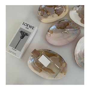 Pièces de coquille de nacre du Vietnam tranches de nacre pour les panneaux de meubles d'incrustation de bijoux d'art décoratif de 99 données d'or - Product Image 3