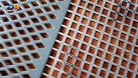 Lámina de Metal Perforada de Acero Inoxidable 304, Placa Perforada Resistente a la Corrosión para Equipos Industriales, Espesor de 1 mm a 4 mm