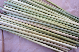 Pajitas biodegradables de algas marinas para restaurantes, cafés, eventos y consumidores ecológicos - Product Image 2