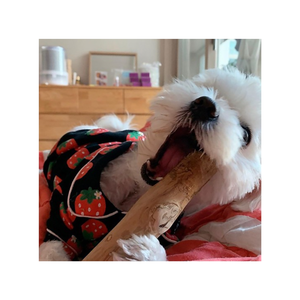 Etiqueta privada Saludable Crudo Ocultar Café Madera Hueso Forma Perro Masticar Golosinas Natural Perro Golosinas Hecho en Vietnam Premium Pet Masticar Juguetes - Product Image 2