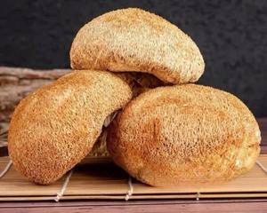 Hongo Melena de León Seco de Vietnam al por Mayor / Proveedor a Granel de Hericium Erinaceus - Product Image 2