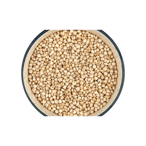 Granos de sorgo al por mayor disponibles a granel para las industrias de harina y bebidas - Product Image 2