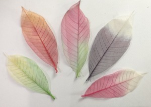 ใบไม้ยางโครงกระดูก - Product Image 2