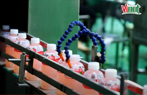 Célèbre Marque Aloe Vera Boisson Jus De Citron Mangue Noix De Coco Orange Saveurs De Pomme Halal Certifié Purée Bouteilles Boîtes Naturel - Product Image 4