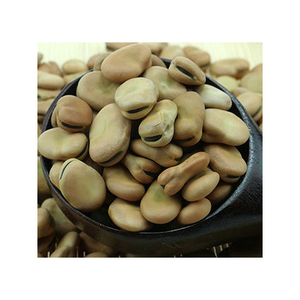 Worldwide Demand Wholesale Price Dry Whole Split <b>Broad</b> <b>Bean</b> Fava <b>Beans</b> for Sale - Product Image 2
