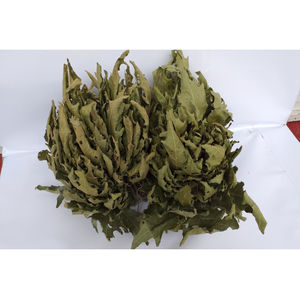 Hojas de Sycamore Premium TOS, Marca Privada, Alta Calidad, 250g, Ingrediente Herbal Seco Natural de Turquía, 48 Meses de Vida Útil - Product Image 2