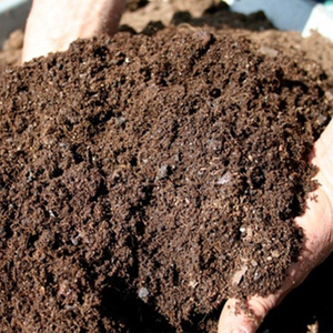 ปุ๋ยตัวอ่อนแมลงวันสีดำขายดีผลิตภัณฑ์ทางการเกษตรคุณภาพจากวัสดุ FGW ติดต่อมิสมิร่า + 84 97 437 1490 - Product Image 6