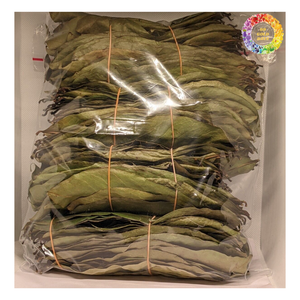 Feuille séchée de qualité A au corsop Premium, congé de corossol séché pour le thé, congé de corossol de Guanabana séché pour faire du thé - Product Image 1