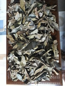 Hojas de Guanábana Secas 100% Naturales para Té, Procedentes de Vietnam, al Mejor Precio - Product Image 3