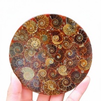 Plaque de Fossile d'Ammonite de Haute Qualité de 11 cm, Pierre Naturelle Polie, Sculpture en Cristal pour Décoration Moderne de la Maison, Ornement de Bureau, Vente en Gros