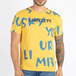 Camiseta estampada de hombre de alta calidad de fabricante al por mayor ropa de calle moda 100% tela de punto de algodón precio razonable - Product Image 1