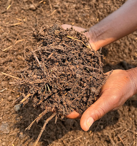 Engrais organique composté, amendement du sol riche en nutriments, NPK, bio-compost, export en vrac en Afrique de l'Ouest - Product Image 1