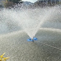 Fuente Flotante Decorativa para Exteriores con Diseño GRATUITO, Pequeña Fuente Flotante para Golf, Aireador de Estanque
