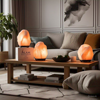 Lampe de sel de l'Himalaya naturelle certifiée GMP, avec cordon électrique et ampoule, écologique, faite à la main, rose, emballage complet, motif fleurs et animaux