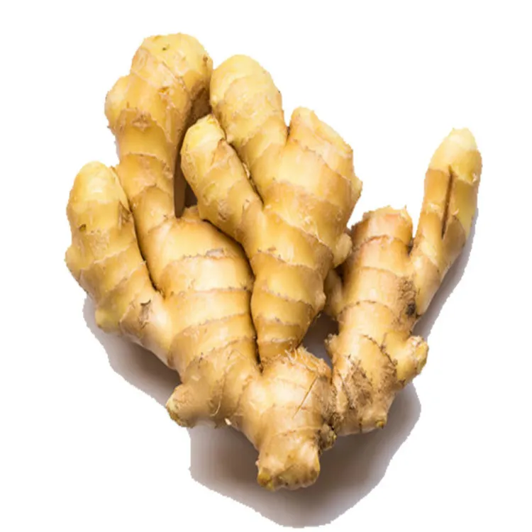 Fresh Ginger Export High Quality Fresh Elephant Ginger From fresh ginger supplier /thin ginger / fat ginger