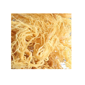 เครื่องอบแห้งจากแสงอาทิตย์ธรรมชาติแบบแห้งเพื่อสุขภาพเพิ่มราคาที่ดีที่สุดในเวียดนาม - Product Image 6