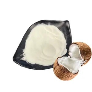 VENTE EN GROS DE LAIT DE NOIX DE COCO EN POUDRE DU VIETNAM-(Mme Beatrix) - Product Image 2