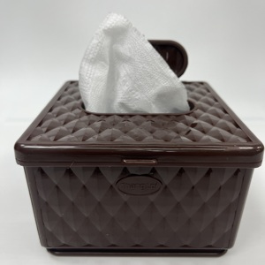 กล่องกระดาษทิชชูพลาสติก PP บรรจุในเวียดนามกล่องขนาดกะทัดรัดพร้อมส่ง - Product Image 1