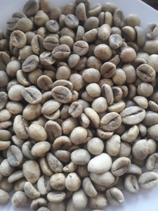 Hạt cà phê xanh cao cấp Việt Nam: Nhà Xuất khẩu hàng đầu cung cấp đặc sản Arabica hữu cơ và Robusta cho những người yêu thích cà phê sành ăn - Product Image 4