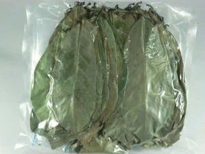 ใบทุเรียนเทศที่มีคุณภาพส่งออกเรามีใบแห้งอย่างพิถีพิถันตรงตามมาตรฐานสากล - Product Image 5