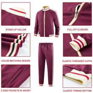 OEM personalizado otoño ropa de mujer grueso 2 piezas conjunto chándal Jogger Conjunto personalizado trajes de sudor y chaqueta conjunto - Product Image 4