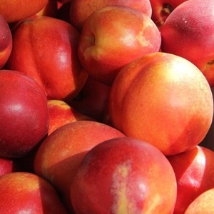 Organic Chilean Nectarines for Export Multiple Varieties with Sweet Flavor Fresh and Cold Chain Guaranteed - Product Image 3