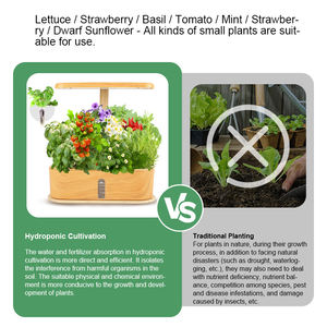 Système de culture hydroponique sans sol pour semis, avec plateau à graines pour kit de démarrage et propagation de légumes, avec éclairage - Product Image 4