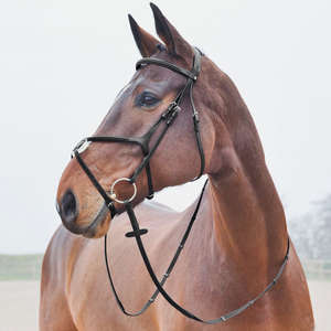 Bride de cheval en cuir naturel indien de qualité fabricant de bride roulée en cuir fabricant de bride de cheval de qualité supérieure bon marché - Product Image 1