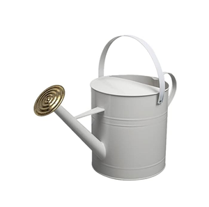 กระป๋องน้ำดีไซน์ไม่เหมือนใครงานแฮนด์เมดอุปกรณ์รดน้ำในสวนคุณภาพสูงสไตล์คลาสสิกกระป๋องน้ำดีไซน์ใหม่ - Product Image 2