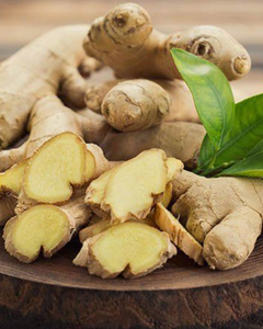 รากขิงสดออร์แกนิกสำหรับฟาร์มส่งออกโดยตรง - Product Image 3