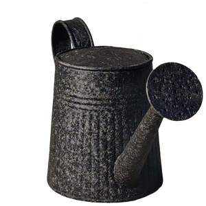 Gardenised 1 Gallon Metal Watering Can with Removable Long Spout & <b>Sprinkler</b> Head for Indoor & Outdoor Use Ideal for - Product Image 4