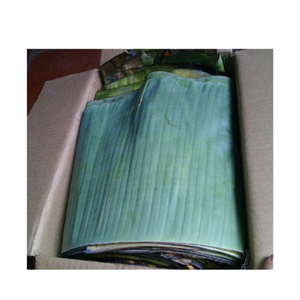 Prêt à expédier des feuilles de bananier tropicales vertes fraîches et congelées au prix le plus bas feuilles de bananier pour l'emballage des aliments feuilles de bananier IQF - Product Image 6