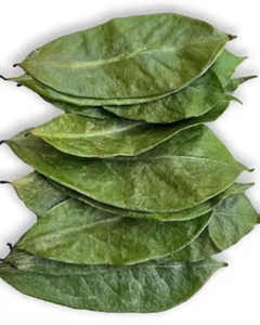 Feuilles de corossol séchées de haute qualité / Origine Vietnam / Exportation mondiale - Product Image 2