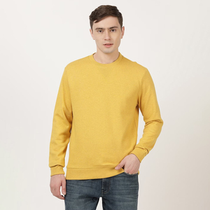 OEM Wholesale Customized Men's Winter Pullover Sweatshirts Solid Color 100% Cotton <b>Fleece</b> Anti-Pilling Puff Printed O-Neck - Product Image 5