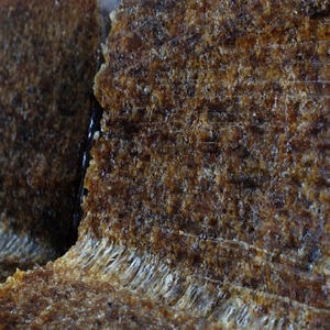 High Quality SVR20 Standard Vietnamese Natural <b>Rubber</b> <b>Raw</b> <b>Materials</b> Directly From Vietnam - Product Image 1