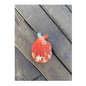 Seashells <b>Hair</b> Clip Natural Beach Shell Ornament Made By Vietnam Supplier <b>For</b> Fashion And Gift Shops - Product Image 4
