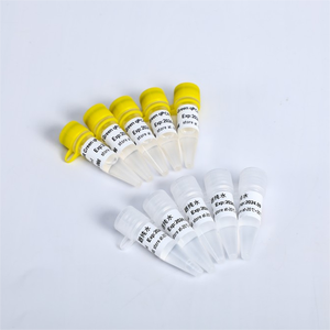 Misto SYBR Green per qPCR (Low ROX+) - Premiscela 2X per qPCR |   GDSBio - Product Image 2