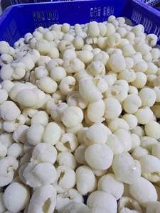 Meilleur prix pour les litchis surgelés IQF entiers ou pelés du Vietnam, emballage en vrac, qualité d'exportation - Mme Tarina - Product Image 2