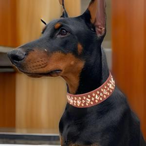 Collar ajustable para cachorros y mascotas, estilo moderno de lujo, cuero suave con remaches de setas, Punta tachonada, nailon, PU, características, patrón de animales - Product Image 5