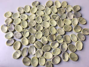 Piedra de Serpentinita Tallada a Medida al por Mayor, Piedra Natural para la Sanación de Chakras, Artesanía Feng Shui, Piedra Semipreciosa - Product Image 2