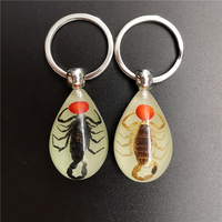 Porte-clés en résine luminescente en forme de goutte d'eau avec insectes, fourmis, scorpions, porte-clés pour garçons, tendance 2023